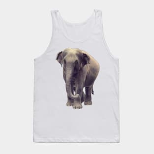 Asian Elephant Tank Top